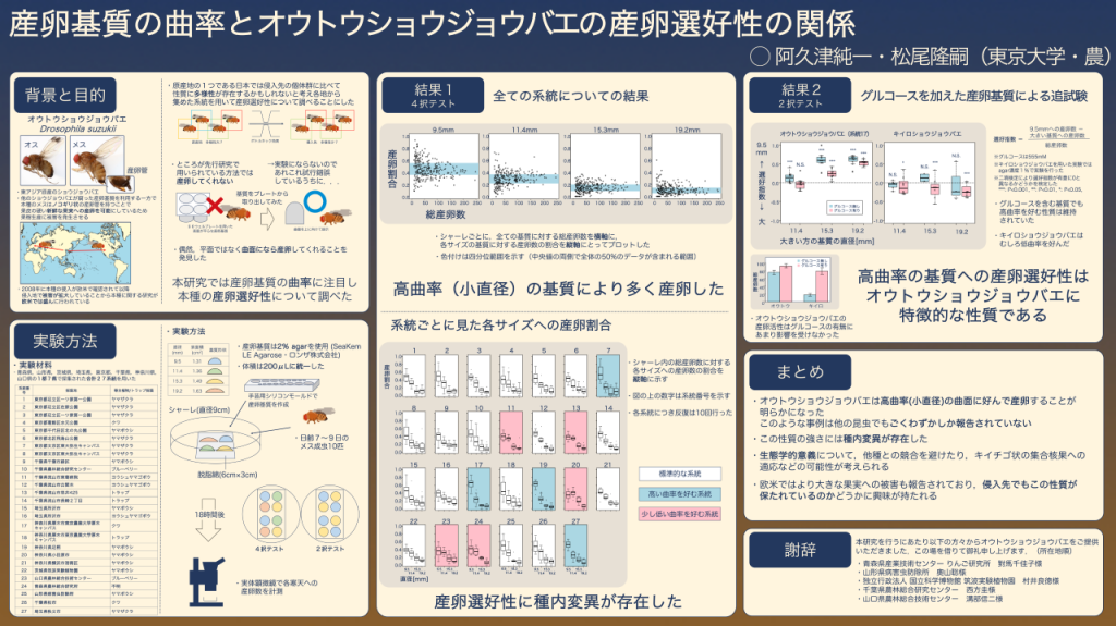 画像に alt 属性が指定されていません。ファイル名: thumbnail_%E9%98%BF%E4%B9%85%E6%B4%A5%E5%BF%9C%E5%8B%95%E6%98%86%E3%83%9B%E3%82%9A%E3%82%B9%E3%82%BF%E3%83%BC-1024x575.png